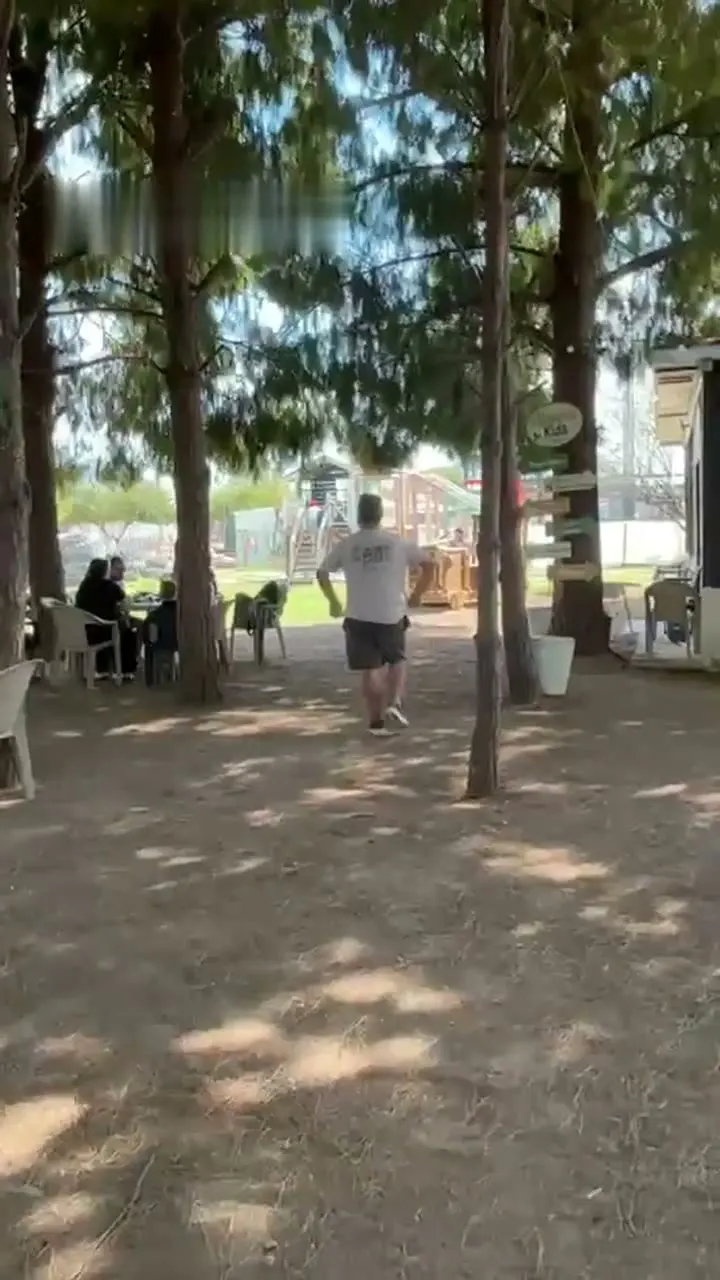 Rootsfarm kafe alanı — ağaçların gölgesinde masalar